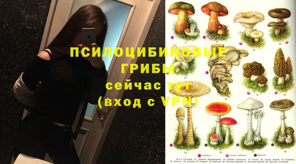 дурь Беломорск