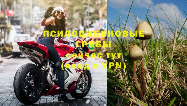 дурь Беломорск