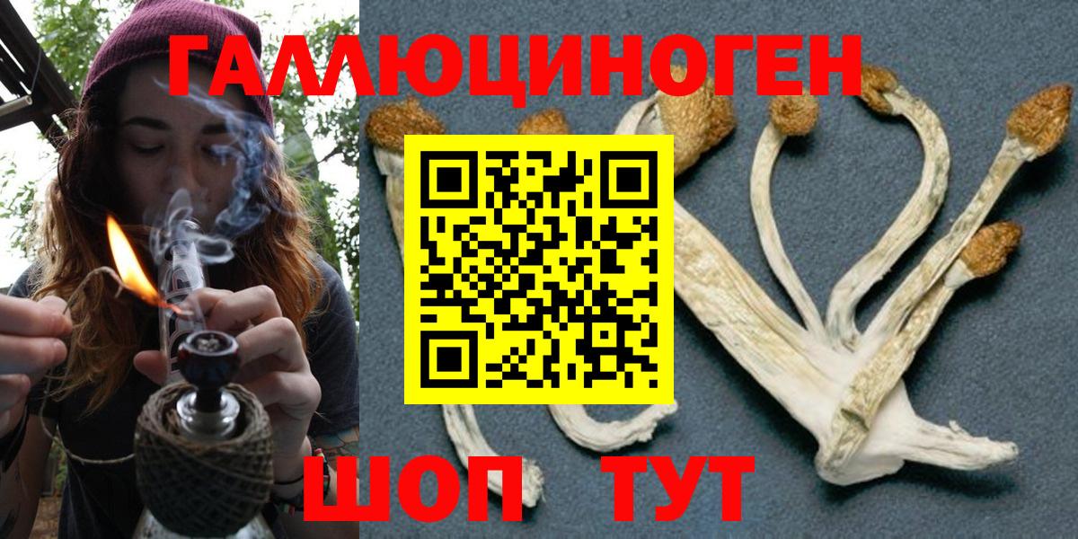 Псилоцибиновые грибы MAGIC MUSHROOMS Великие Луки