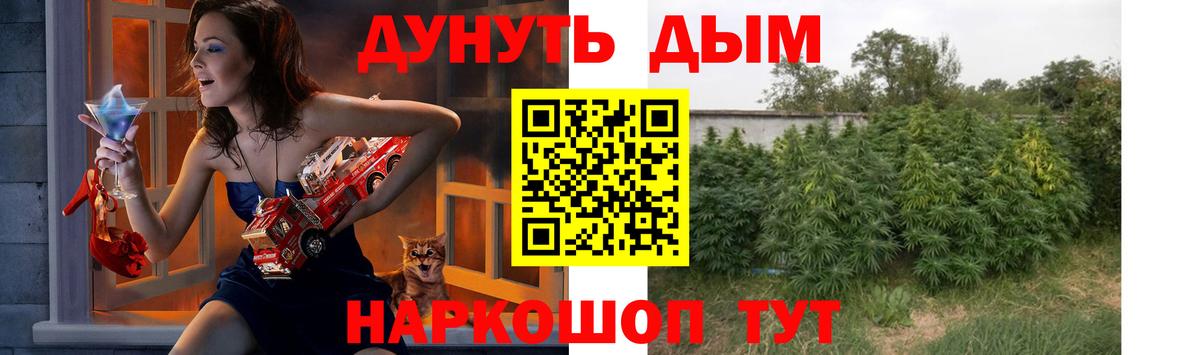Конопля семена  Вход с VPN  Бошки марихуана индика  Каннабис Ganja  МАРИХУАНА тримм  Великие Луки 